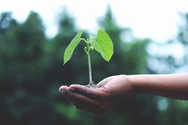 Making an Impact Making an Impact